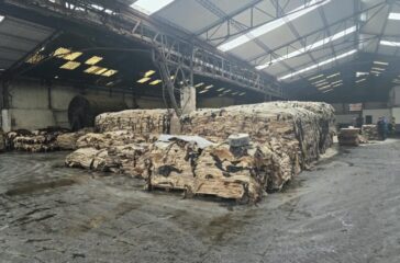 Salted Hides & Skins